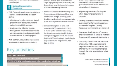 Mozambique brief cover